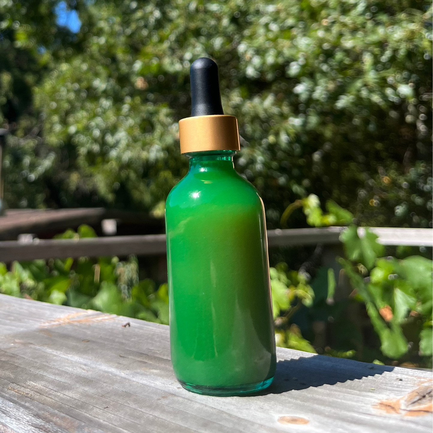 Lion's Mane Tincture (Alcohol-Free)